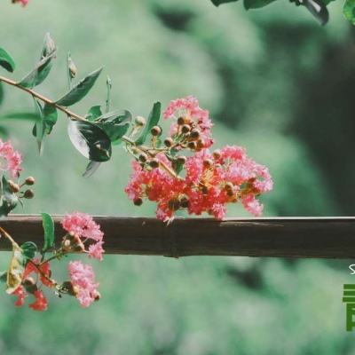 半岛网页版app下载